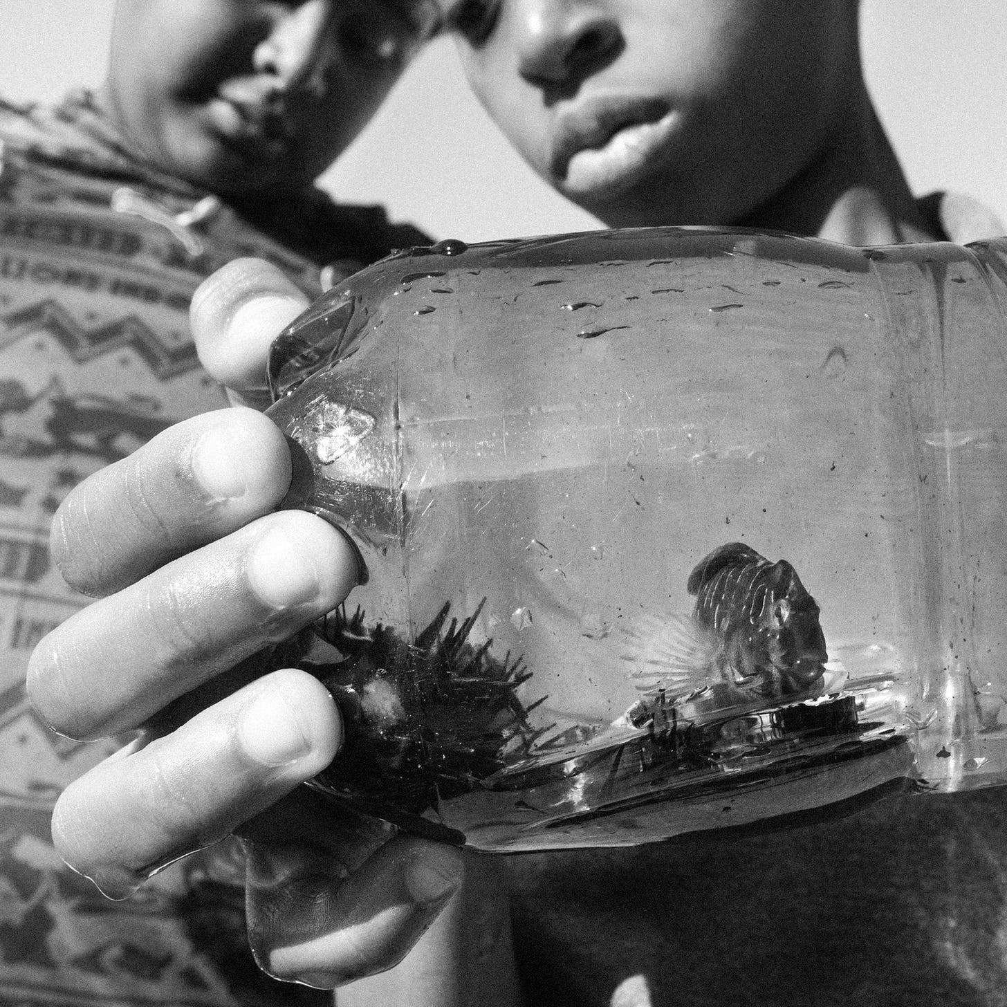 A close-up of a child holding a jar with a fish in it

AI-generated content may be incorrect.