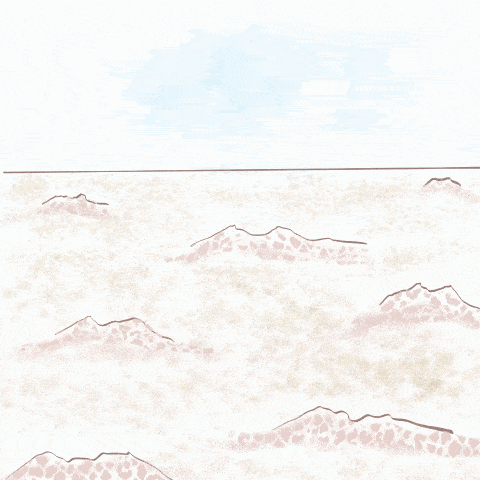 whack-a-mole with prairie dogs
