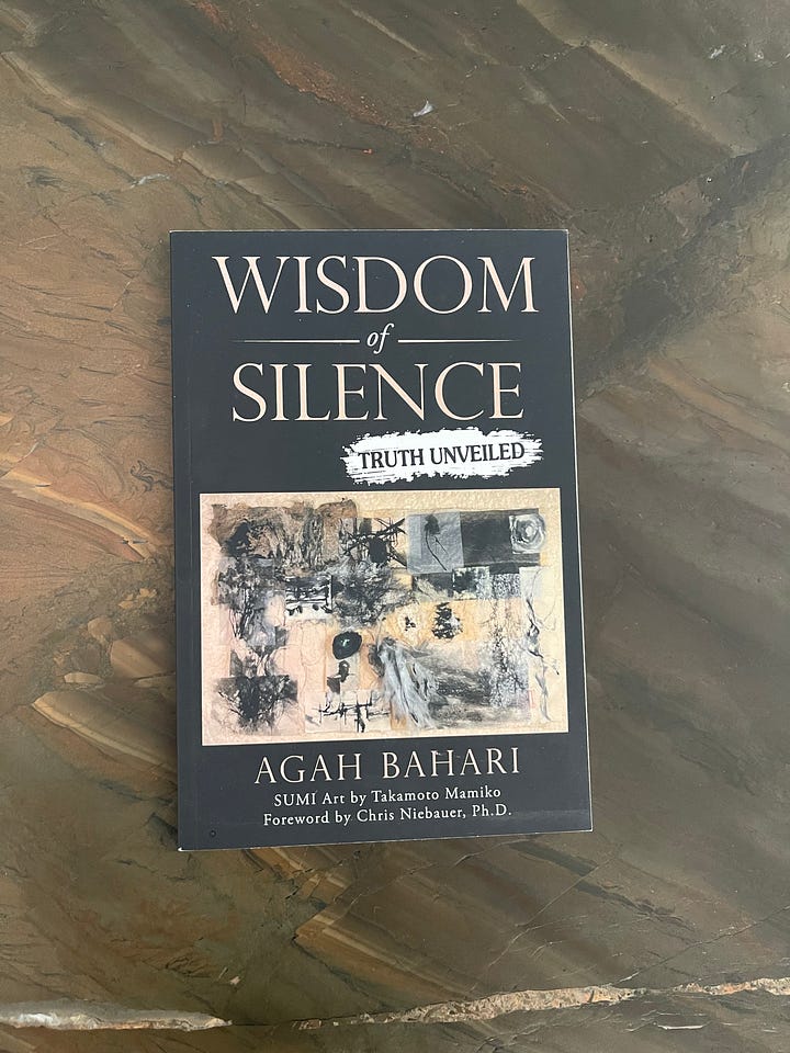 Wisdom of Silence cover and spread