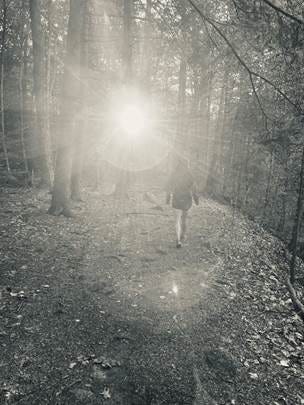 A person walking on a path in the woods

AI-generated content may be incorrect.