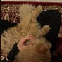 Maryam's avatar