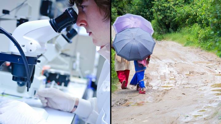 Study Finds Rainwater Isn’t Safe To Drink Anywhere In The World Because Of 'Forever Chemicals'