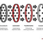 The APEX Framework That Turns AI Into Revenue