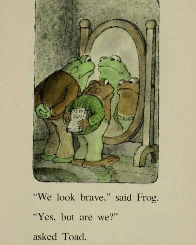 frog and toad gaze into a mirror, pondering bravery