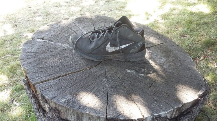 Shoe Shoe