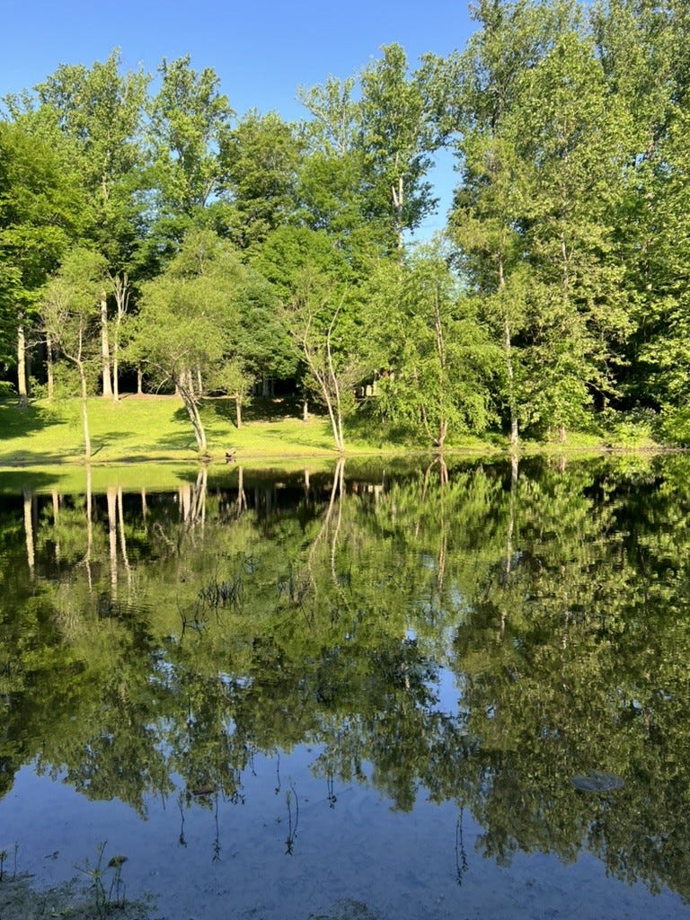 A body of water with trees and grass

Description automatically generated