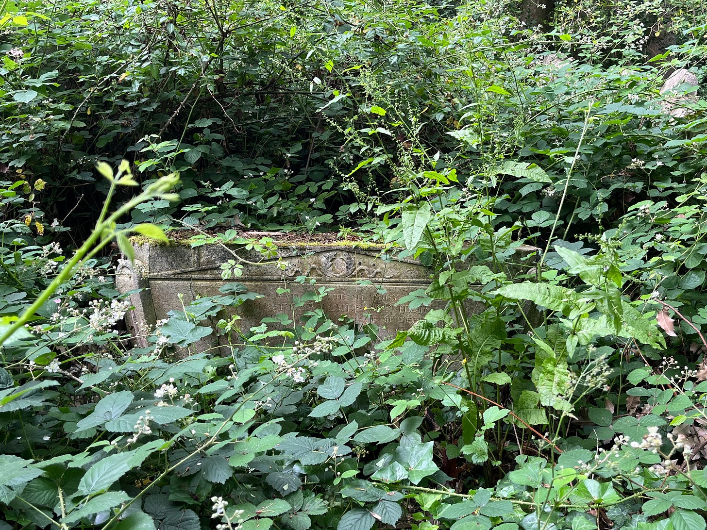 James Mather’s slightly overgrown sarcophagus memorial James Mather’s slightly overgrown sarcophagus memorial