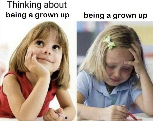 Adulting 101 : r/memes