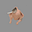 Vasily's avatar