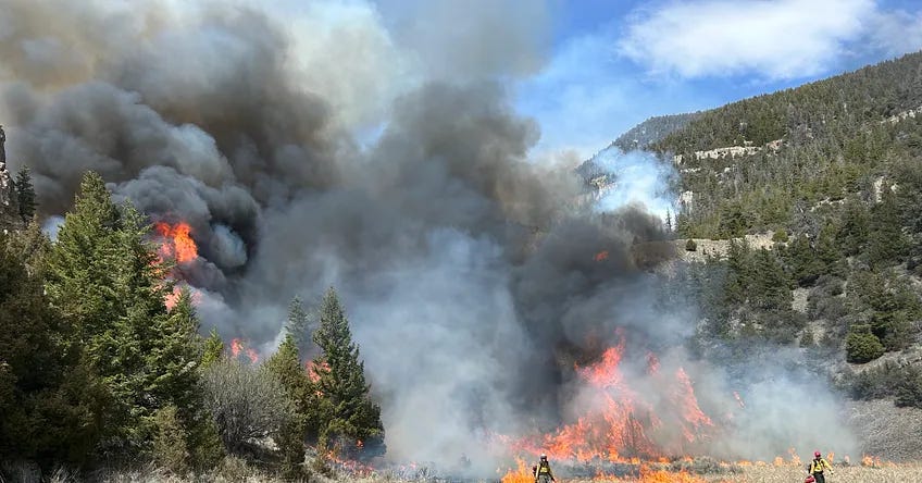 Building The Next Generation Of Wildland Firefighters With Bryan Kerns.