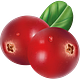 cranberry blog