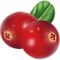 cranberry blog