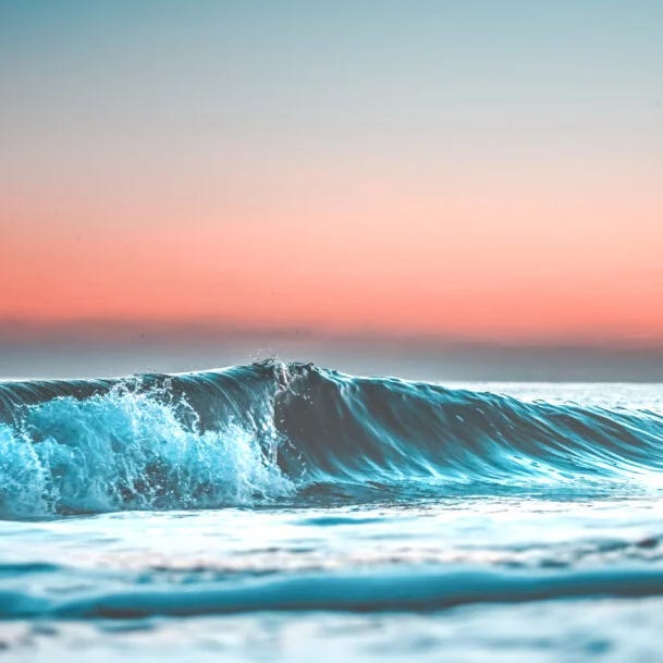 Ocean Wellness Newsletter logo