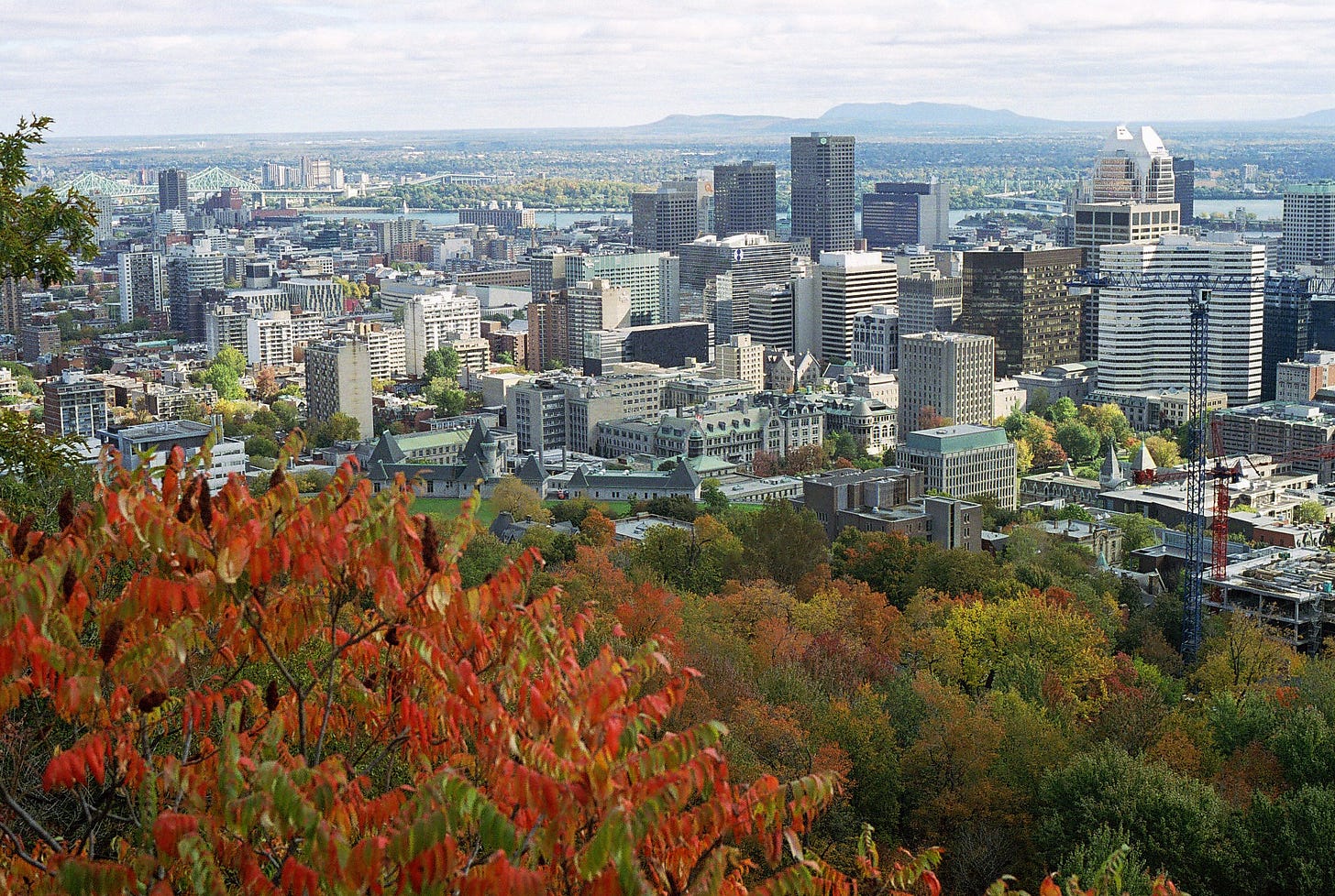 Downtown seen from Mont-Royal
