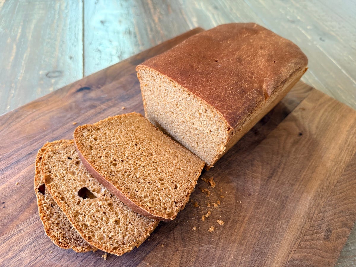 no knead whole wheat bread sandwich loaf