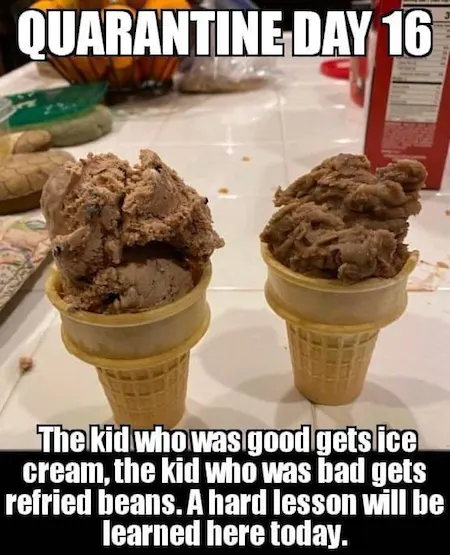 3ddd3ec8-0d7a-460a-99d0-9475be2874c4_450