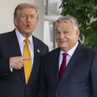 حملة جرائم الحرب التي قام بها ترامب، يوضحها خبير