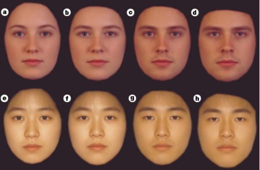 Feminization and masculinization of face shape. Columns 2 and 4 are masculinized variants, Columns 1 and 3 are feminized variants. These are “50%” deformations. The study presented subjects with interpolated faces with softer deformations.