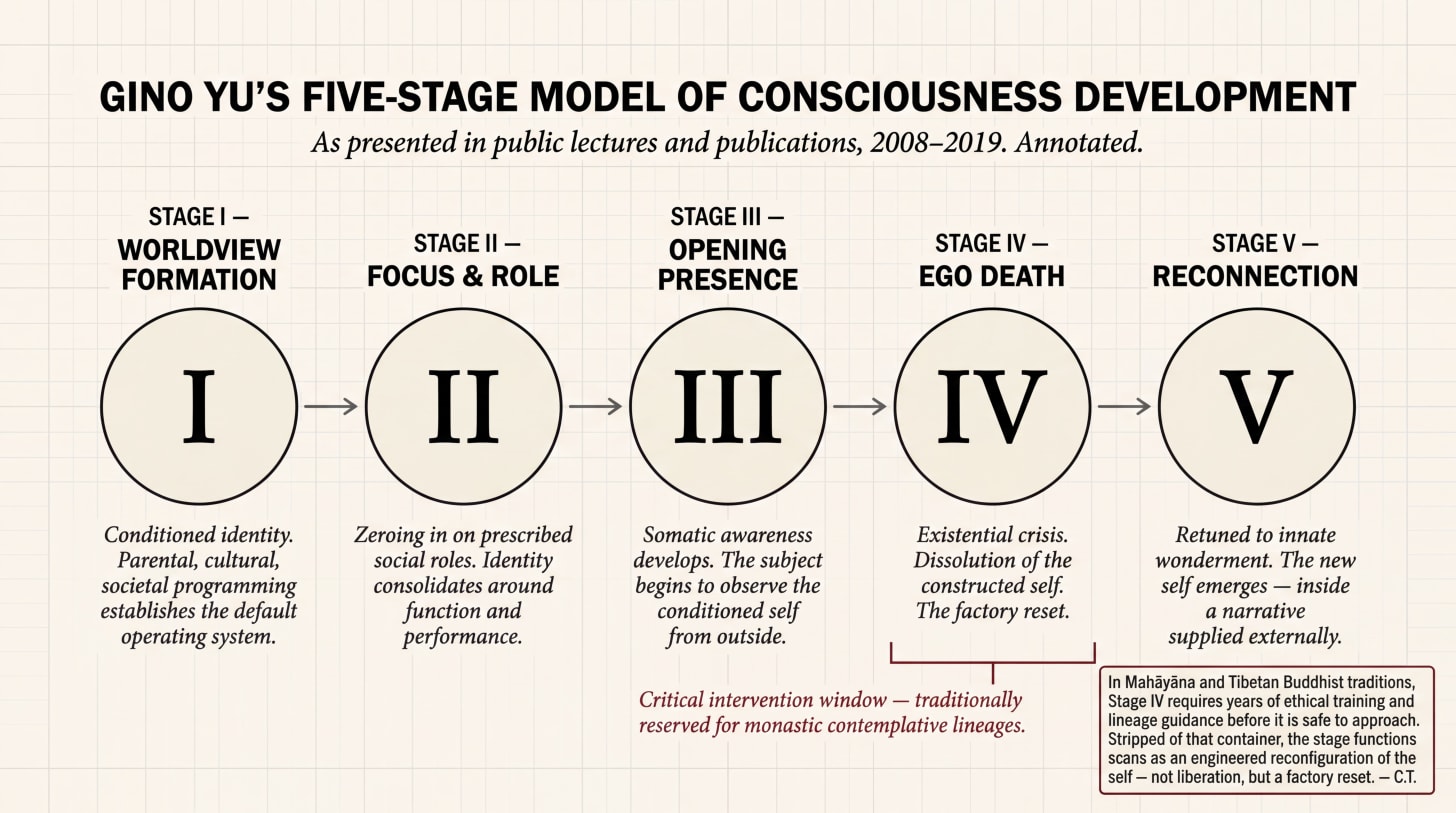 An editorial clinical diagram in the style of a psychology textbook, showing Gino Yu's five-stage model of consciousness development. Five numbered circles labeled with Roman numerals I through V are arranged horizontally, connected by arrows. Stage I is labeled 