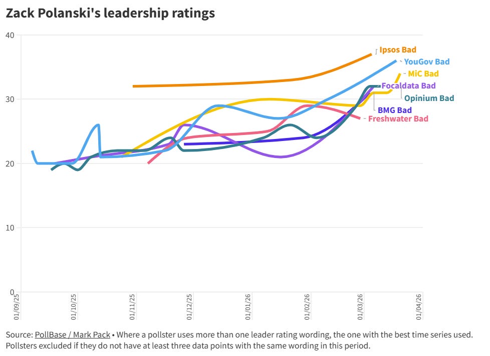 Zack Polanski's bad leadership ratings