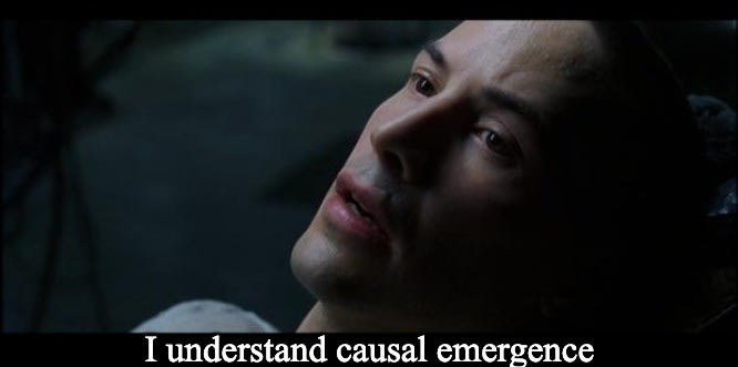 i know kung fu | I understand causal emergence | image tagged in i know kung fu | made w/ Imgflip meme maker