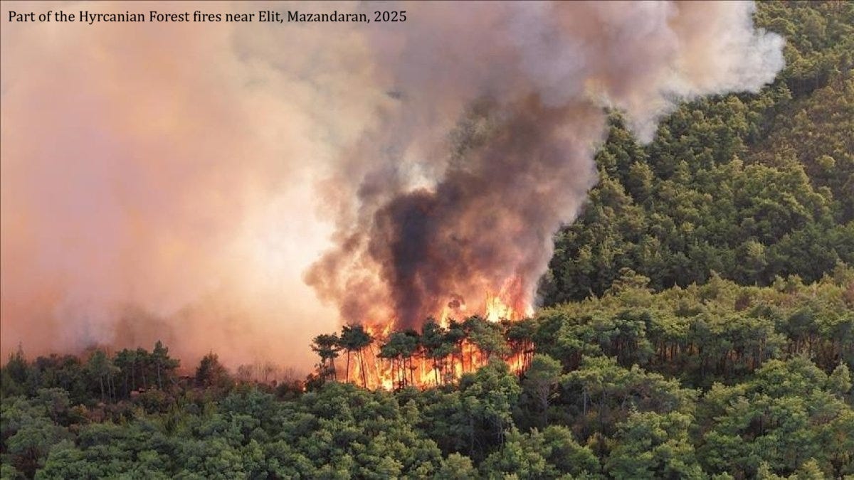 EarthStuff - Using Analytic Hierarchy Process to Determine Optimal Locations for Fire Observation Towers in Iran’s Shafarood Forest