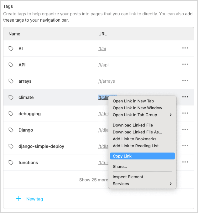 screenshot of the Tags subsection from the Website section of a publication's overall Settings page