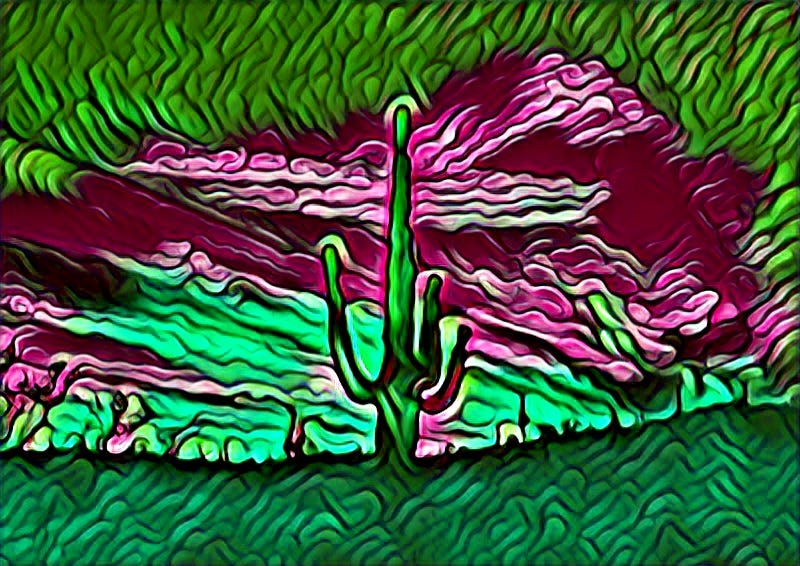 Wrapping the Year in Light (and a little desert mischief)