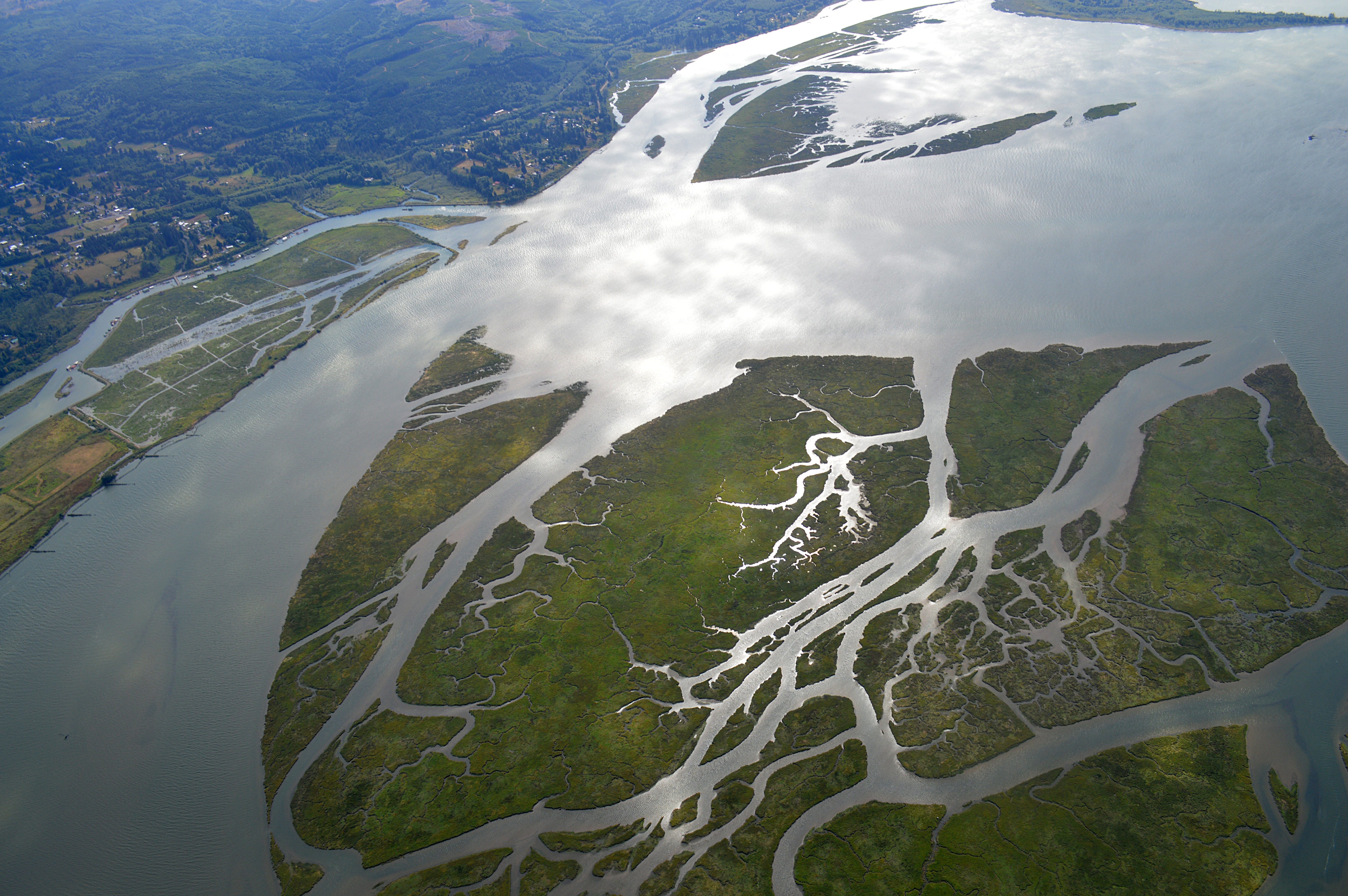 EarthStuff - Water Velocity And Discharge From Tidal Freshwater Creeks In Forested And Herbaceous Wetlands