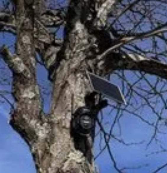 FLOCK x 11 | The Flock Diversion Psyop + The Real Surveillance System