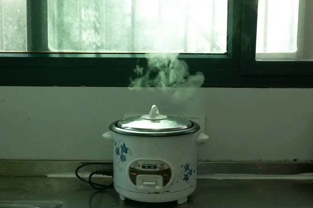 Rice Cookers: a Guide