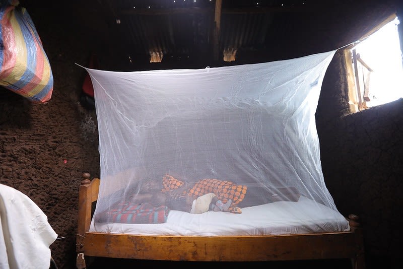 Evaluating the benefit of insecticide-treated bed-nets