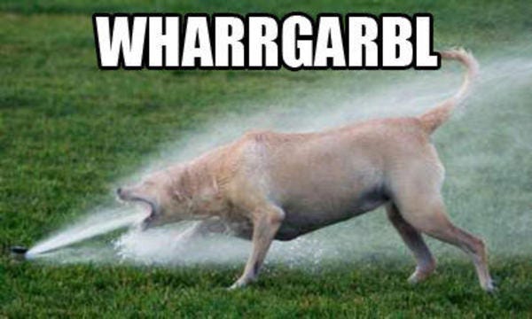 [Image - 32385] | WHARRGARBL / Sprinkler Dog | Know Your Meme