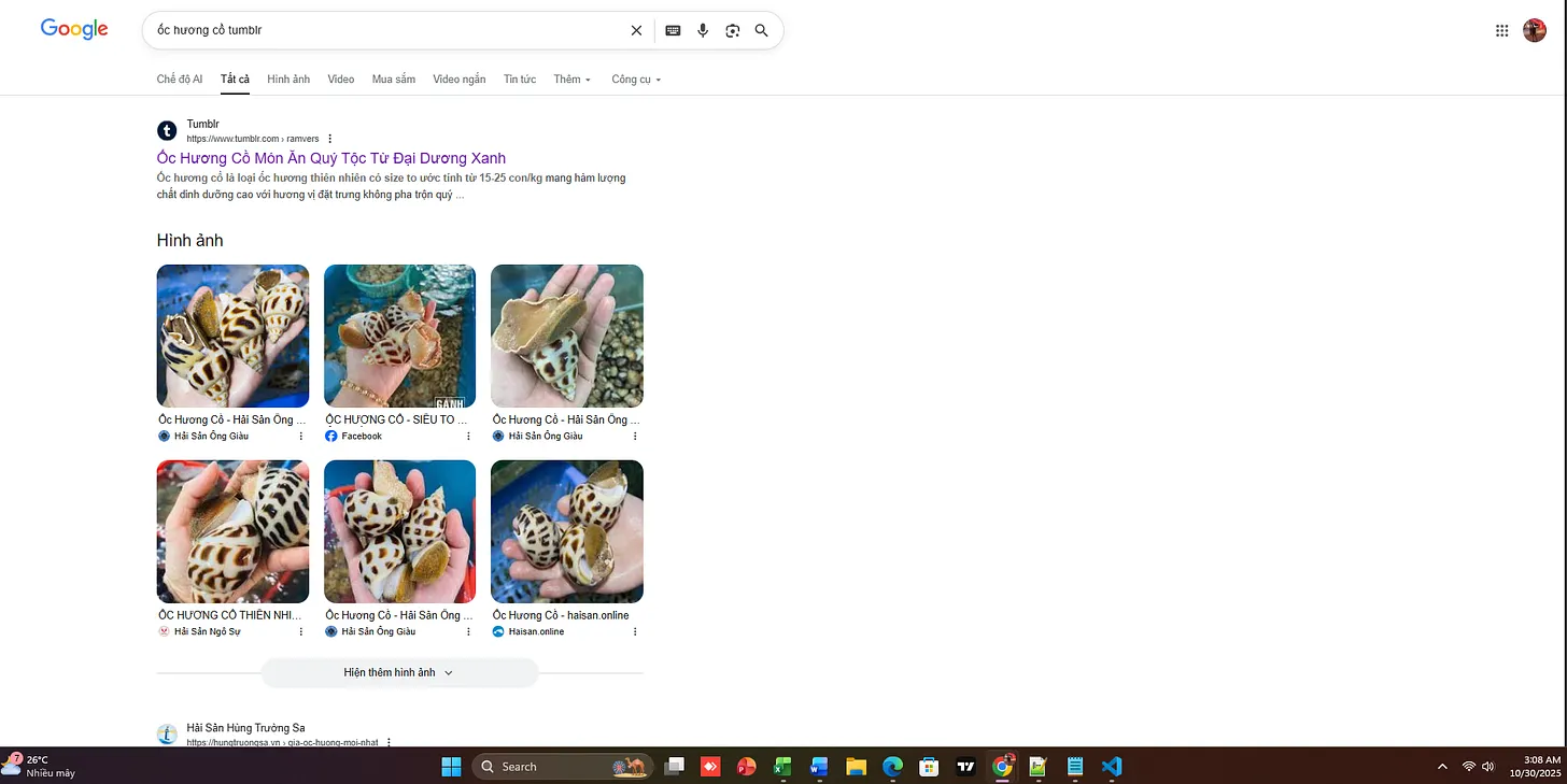 Ảnh chụp màn hình kết quả Google cho truy vấn ốc hương cồ tumblr ngày 30/10/2025