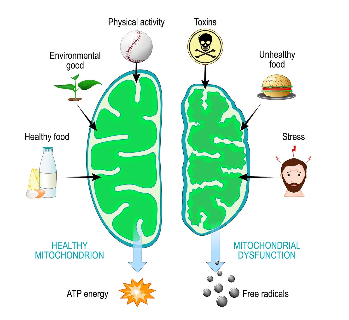 The Hidden Switch Behind Chronic Disease The Hidden Switch Behind Chronic Disease