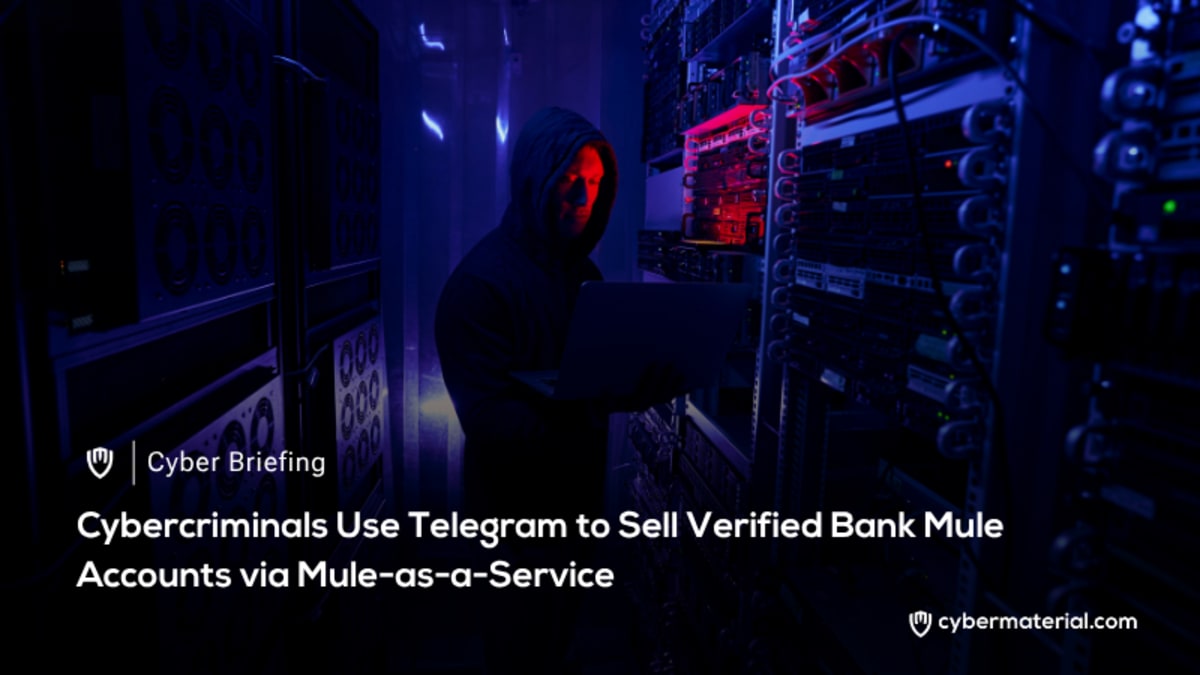 Telegram Channels Offering Verified Bank Mule Accounts