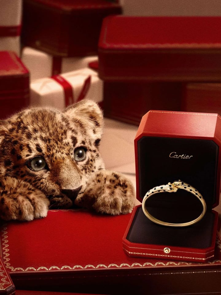 The Cartier panther 1951 vs. 2025 (Source: Cartier)