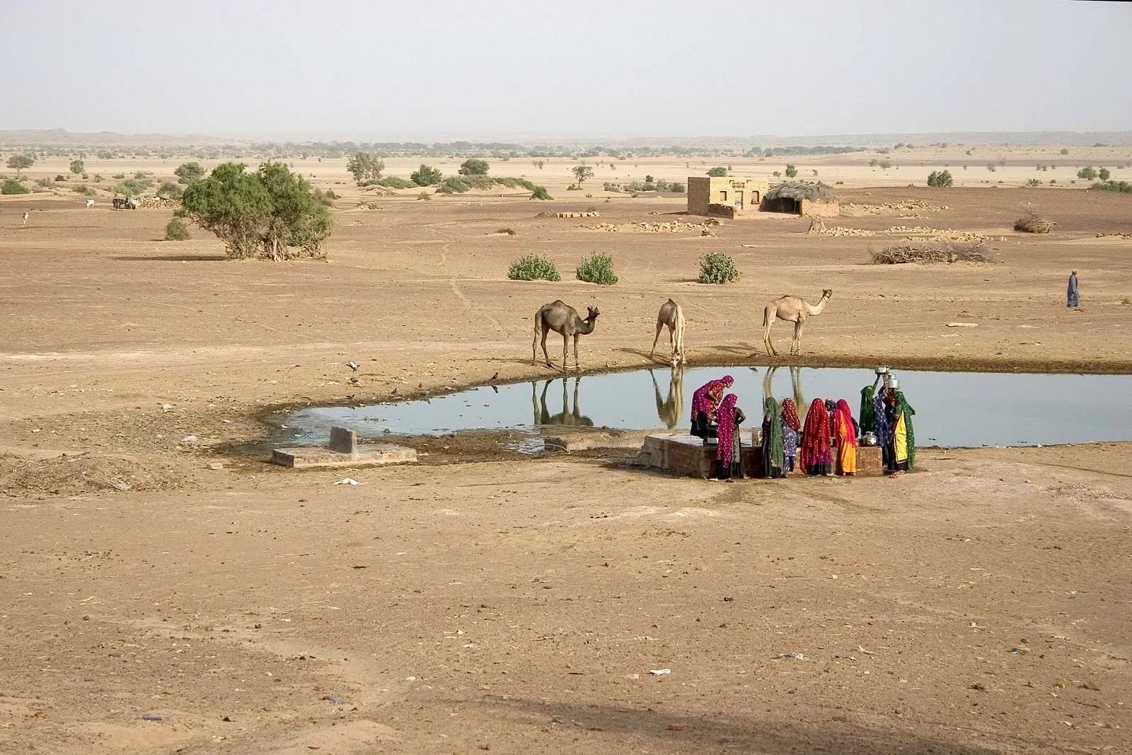 EarthStuff - Groundwater Occurrence And Quality In A Hyper-Arid Desert