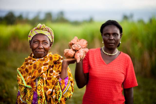 GiveDirectly’s cash transfer project