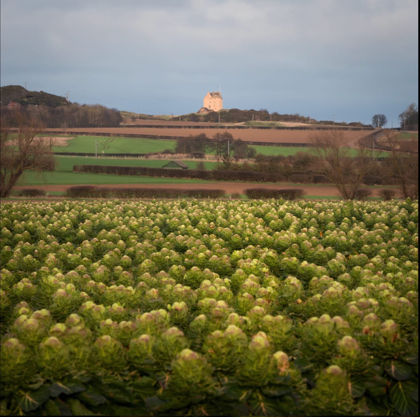 Why the Scottish election could be closer than it looks
