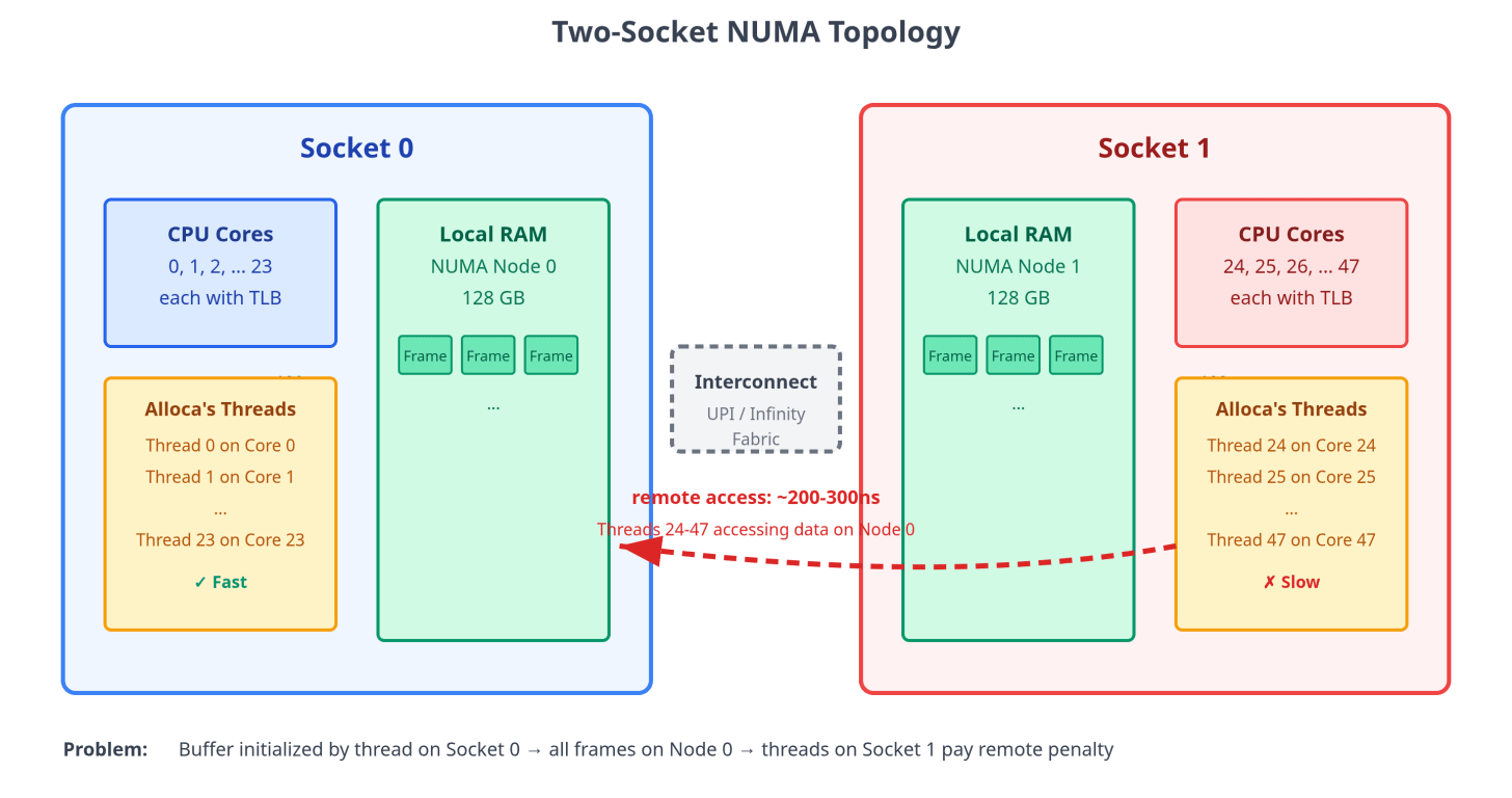 Figure 13: NUMA topology showing two CPU sockets, each with local memory. In this simplified model, each socket corresponds to one NUMA node, but real machines, particularly AMD EPYC systems, may expose more than one NUMA node per socket. Alloca’s buffer was initialized by a thread on Socket 0, so all physical frames landed on NUMA Node 0. Threads 0-23 running on Socket 0 get fast local DRAM access. Threads 24-47 running on Socket 1 must have their cache misses served from Node 0, crossing the inter-socket interconnect. Local DRAM latency is typically around ~100ns; remote DRAM access is often 1.5–3× higher, though exact numbers vary by CPU generation, memory speed, and system topology.