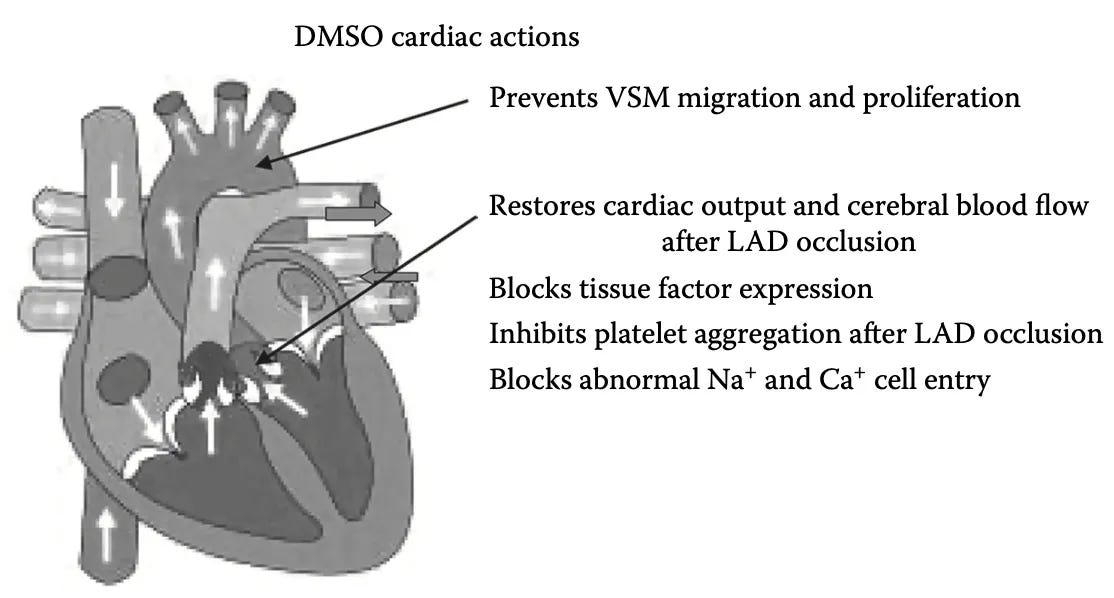 How DMSO Heals The Blood Vessels and Could Save Millions From Strokes