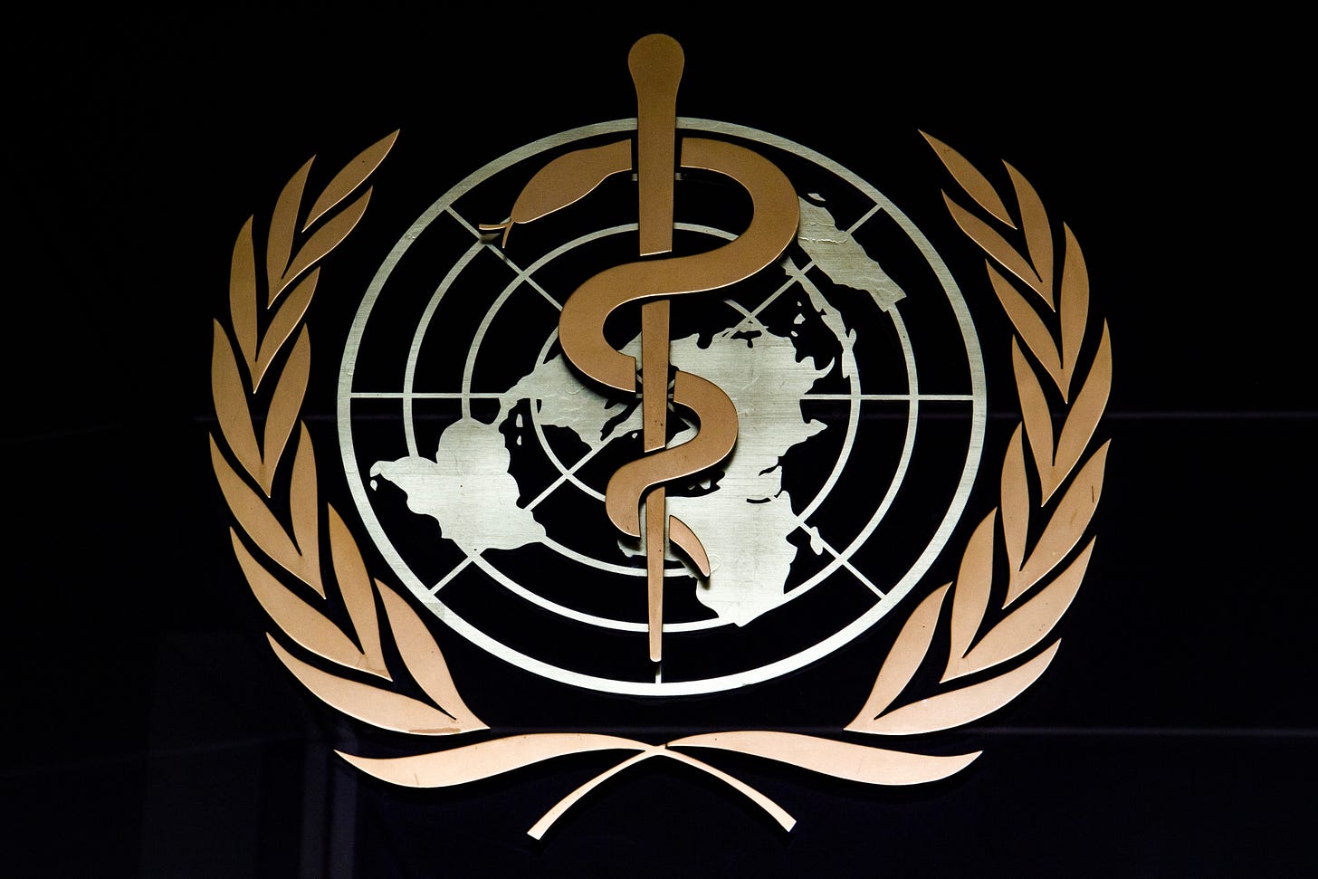 America Officially Withdraws from the World Health Organization