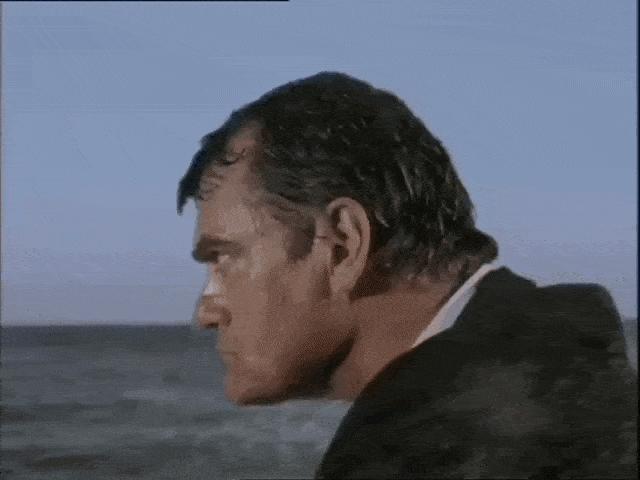 Why we love shark movies | Vox