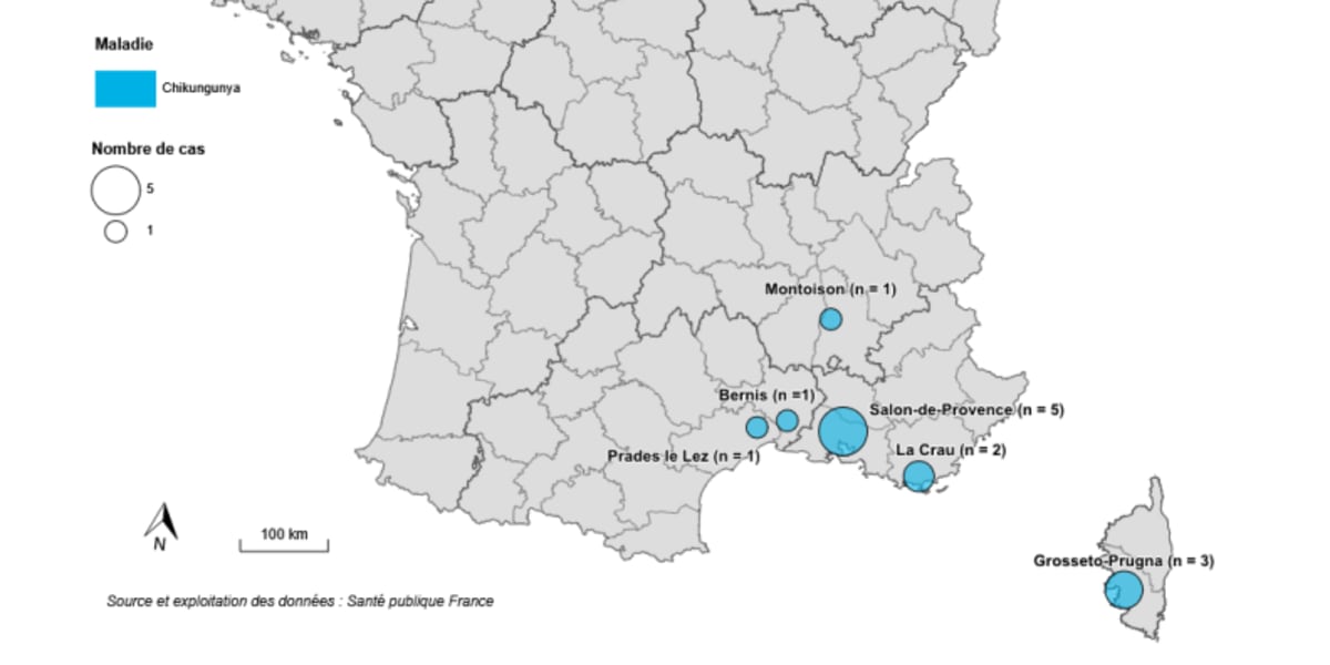 Local Chikungunya Transmission Returns to French Guiana After Decade-Long Absence