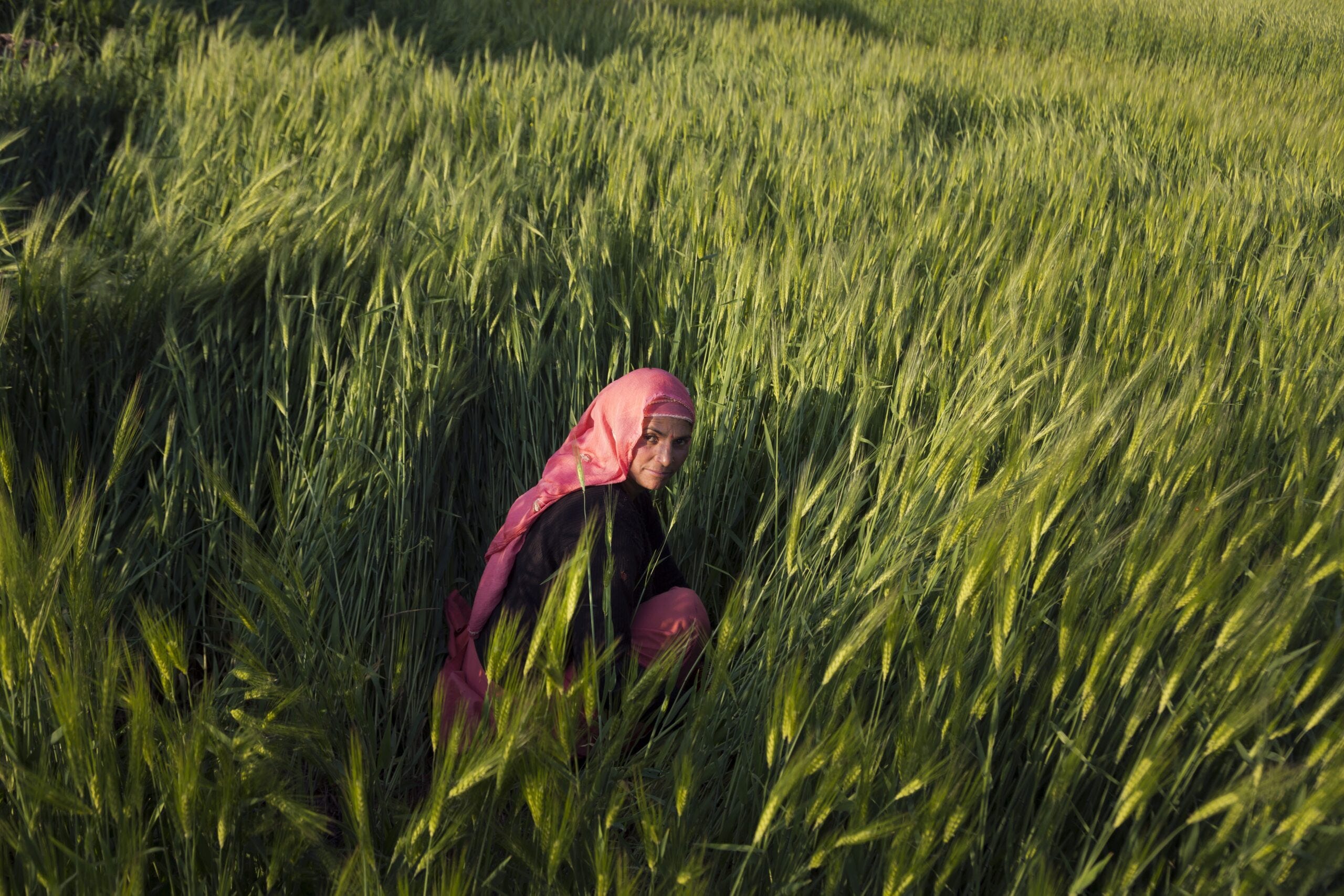 EarthStuff - Can Himalayan Crops Help Secure The Future Of Food?