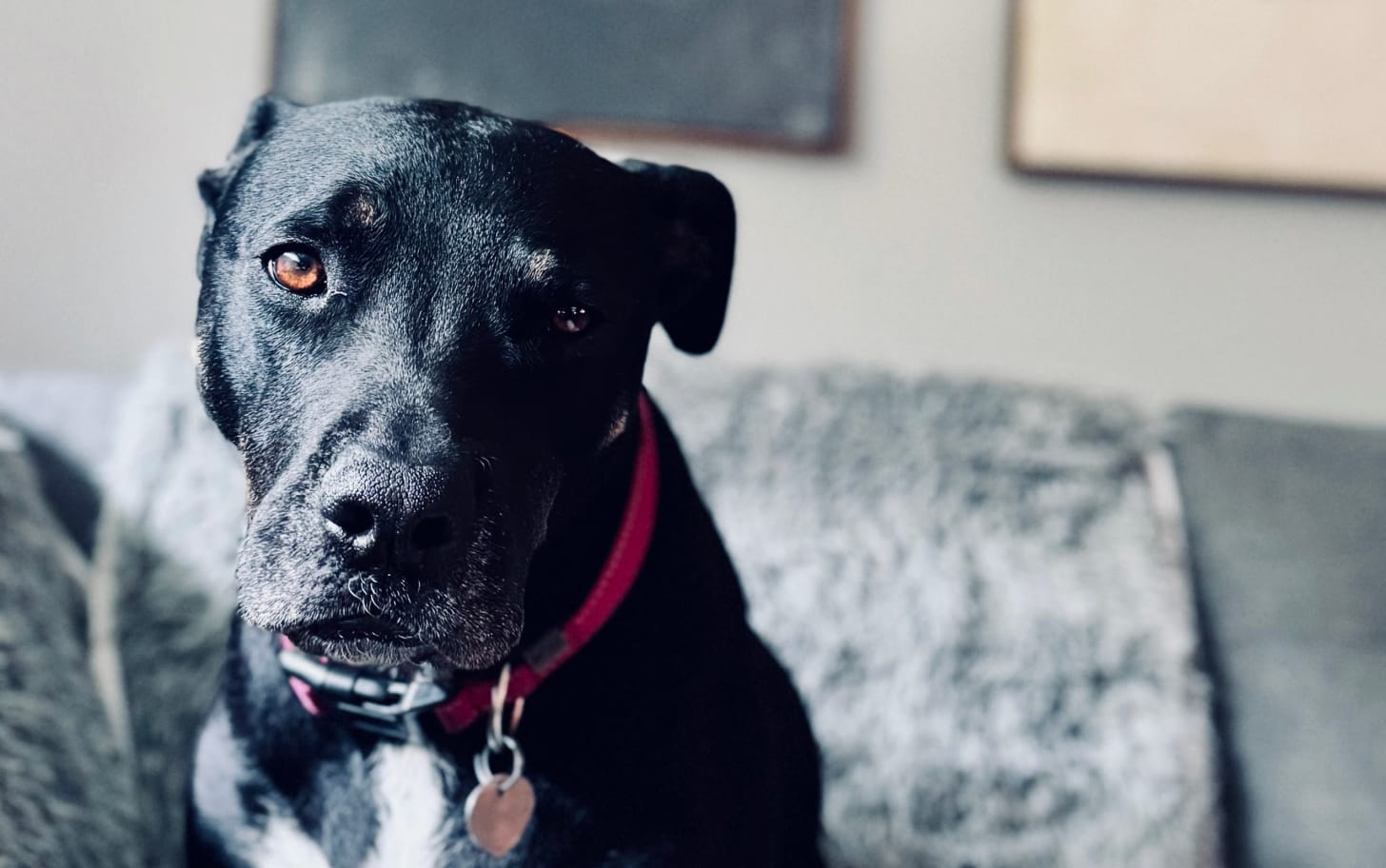 Will you look at this face.