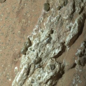 Was There Life on Mars?