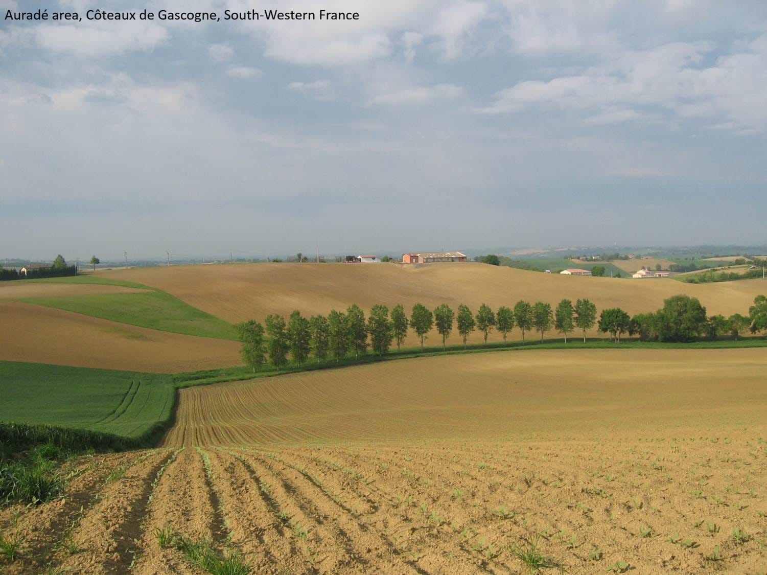 EarthStuff - Optical, Radar, And Hybrid Indices To Detect Farming Practices In Europe