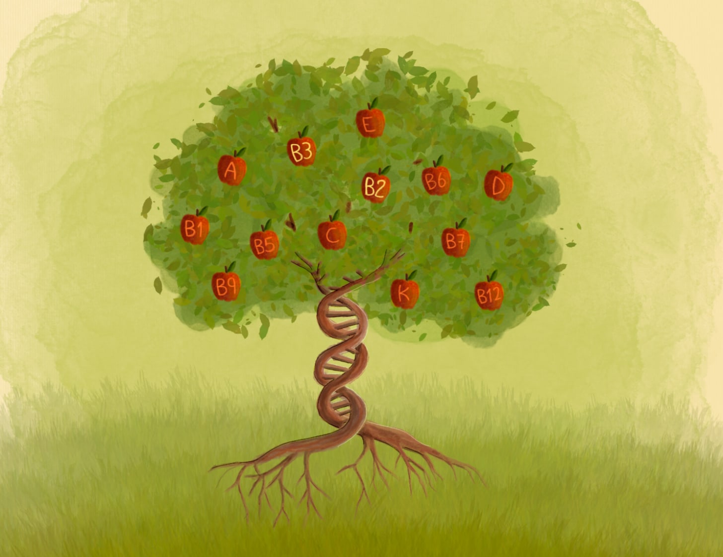 Illustration of a tree with DNA trunk bearing fruits labeled with vitamins